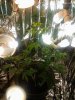 2013-07-27 23.58.01.jpg