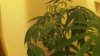 100_0048.jpg