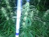 20130729_194944.jpg