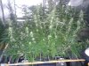 20130729_194819.jpg