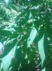 IMG_20130729_130419.jpg
