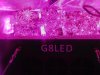 4thWeekG8LED450!! 001.jpg