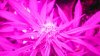 4thWeekG8LED450!! 017.jpg