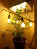 20130730_173513.jpg