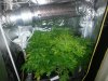 20130801_062850.jpg 20130801_062850.jpg