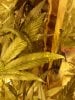 20130729_183159.jpg 20130729_183159.jpg
