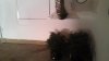 IMG_20130730_193424_050.jpg