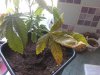 WP_000791.jpg