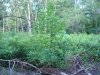 DSC00916.jpg