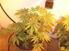100_3645.jpg