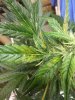 20130801_192253.jpg
