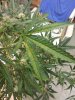 20130801_194222.jpg