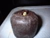 First Sprout 1.jpg