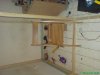 DSC00064.JPG
