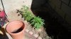 100_1062.jpg