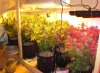 flowergirls-day46.jpg flowergirls-day46.jpg