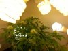 20130806_183258.jpg 20130806_183258.jpg