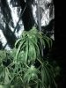 IMG_20130808_220715.jpg