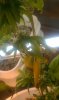 IMAG0365.jpg