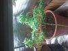 0804131204.jpg