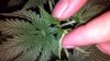 2013-08-09_13-32-18_427.jpg