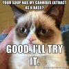 extract_grumpy_cat.jpg extract_grumpy_cat.jpg