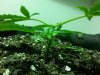 20130811_205107.jpg