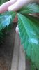 IMAG0213.jpg