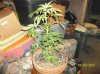 100_1725.jpg
