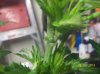 100_1728.jpg