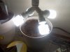bottom set up,germ3.jpg bottom set up,germ3.jpg