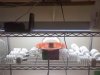 top set up,germ1.jpg top set up,germ1.jpg