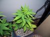 100_0153.jpg