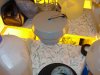 DSC00876.jpg