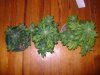 DSC01078.JPG
