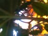 IMG_0431.jpg IMG_0431.jpg