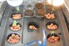 5 WH + 2 G13 Seedlings in Bubbler.jpg 5 WH + 2 G13 Seedlings in Bubbler.jpg