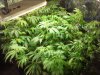 20130815_083426.jpg 20130815_083426.jpg