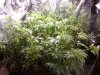 20130815_083438.jpg 20130815_083438.jpg