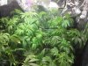 20130815_083500.jpg 20130815_083500.jpg