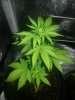 20130817_113757.jpg 20130817_113757.jpg