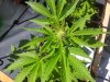 20130817_115725.jpg