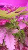 20130817_233220.jpg 20130817_233220.jpg