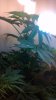 2013-08-18_14-54-49_665.jpg