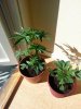 20130819_124057.jpg 20130819_124057.jpg