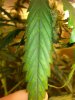 20130819_161740.jpg 20130819_161740.jpg