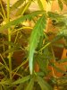 20130819_161826.jpg