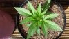 20130723_165310.jpg 20130723_165310.jpg