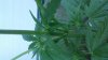 20130802_204711.jpg 20130802_204711.jpg
