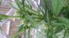 20130812_102244.jpg 20130812_102244.jpg